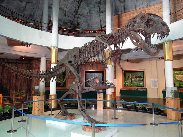 Dino museum field trip